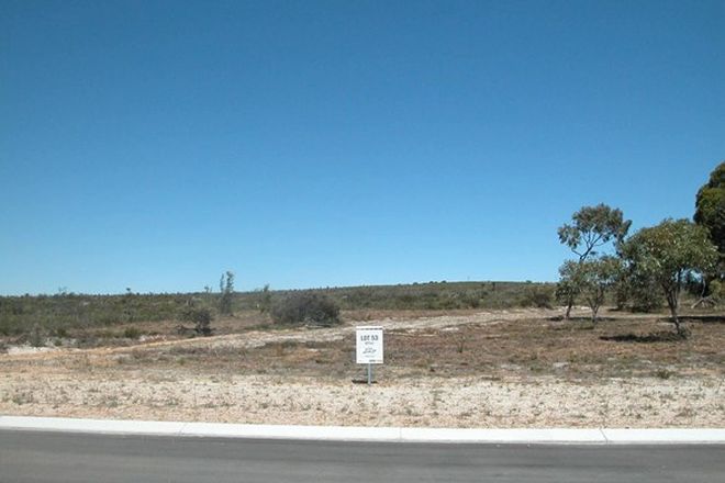 Picture of Lot 53/11 Dodd Street, BADGINGARRA WA 6521