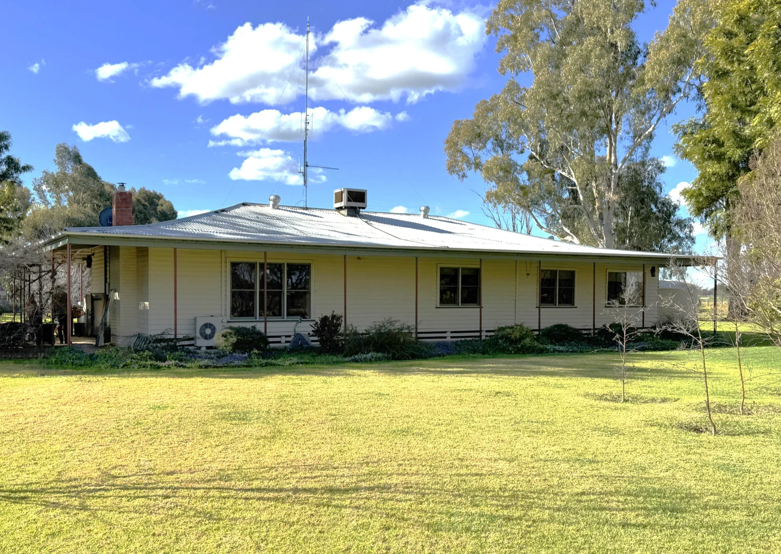 Image 14