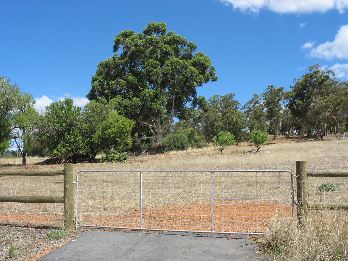 Lot 202 Werribee Road, Wundowie WA 6560, Image 1