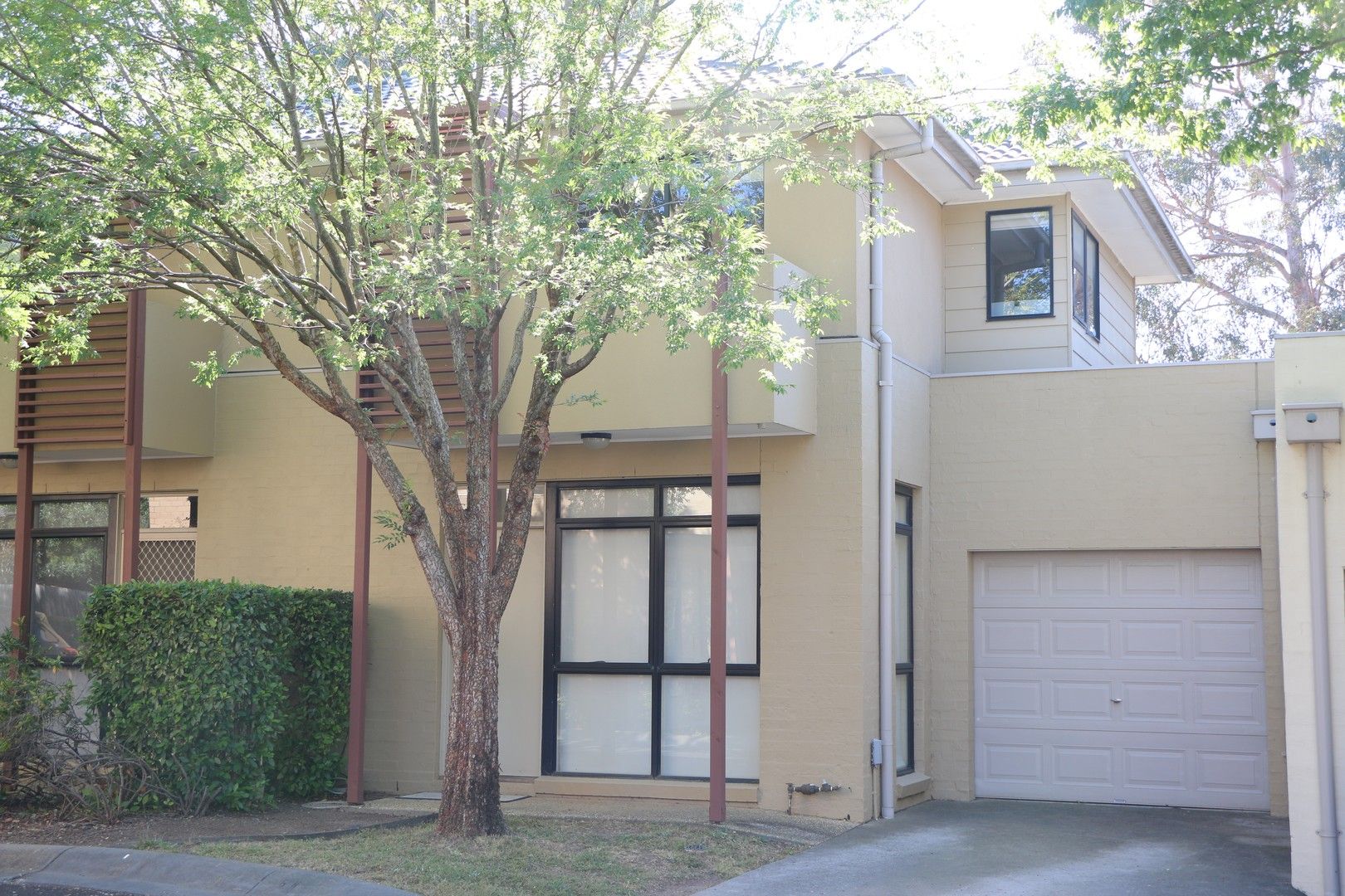 12 Brushbox Court Clayton VIC 3168 Townhouse For Rent $590 Domain