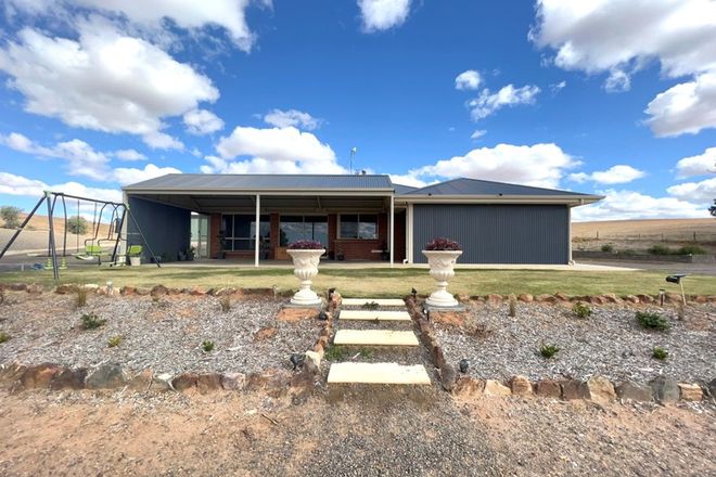 Picture of 53 Wahroonga Road, EUDUNDA SA 5374