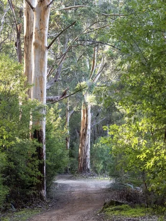 Additional image 21 of Lot 1396 Cresswell Road, Deepdene WA 6290