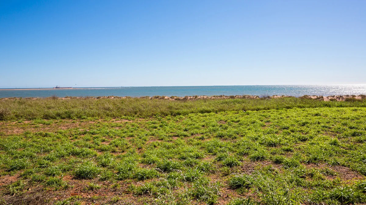 Image 14