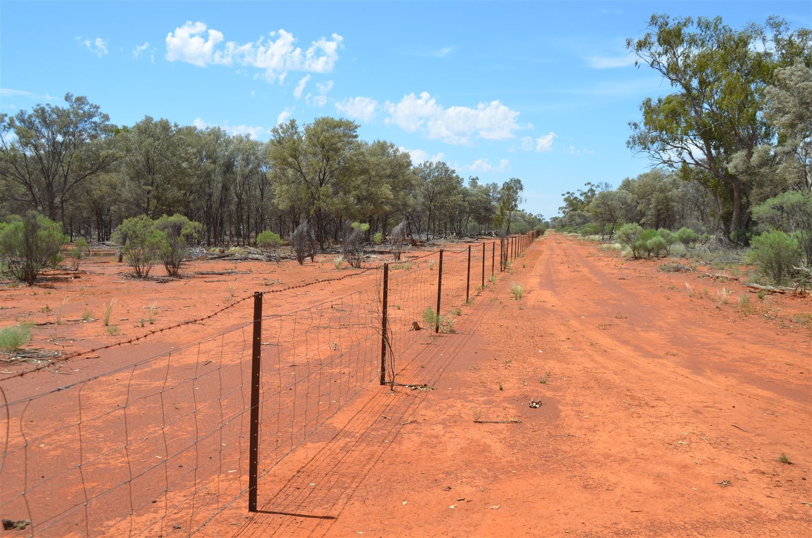 * 'Wee-Toura', Louth NSW 2840, Image 2