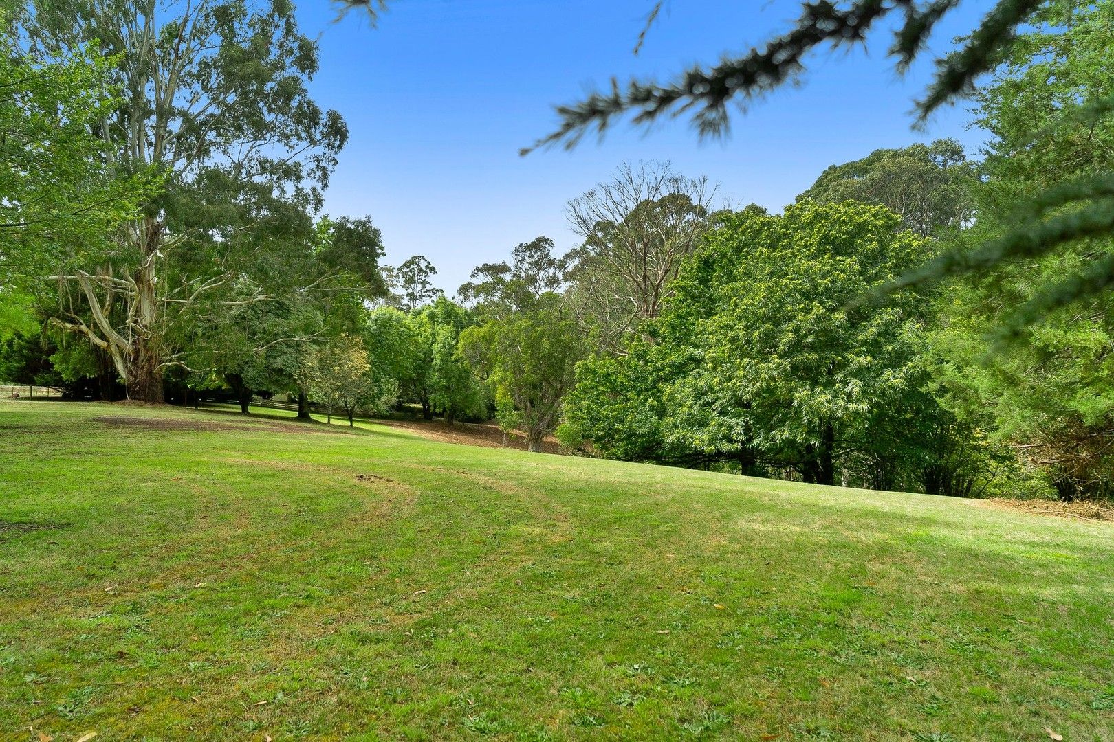 1504 Daylesford Trentham Road, Lyonville VIC 3461, Image 0