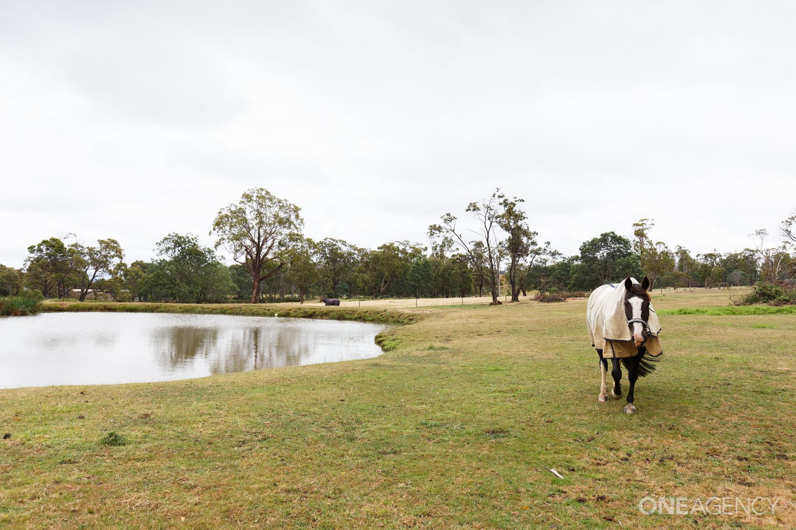 34 Devon Hills Road, Devon Hills TAS 7300, Image 1