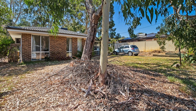 Picture of 15 Jacqueline Drive, THORNLIE WA 6108