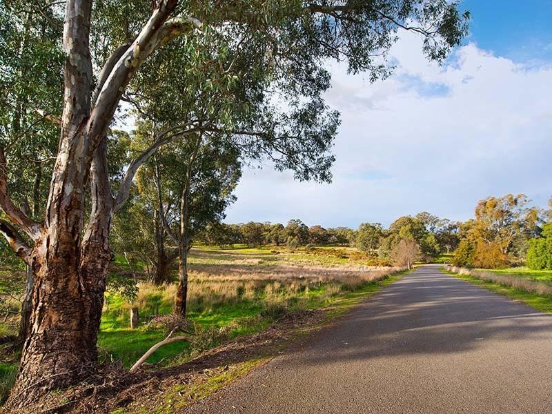 20 Cemetery Road, Newstead VIC 3462, Image 1