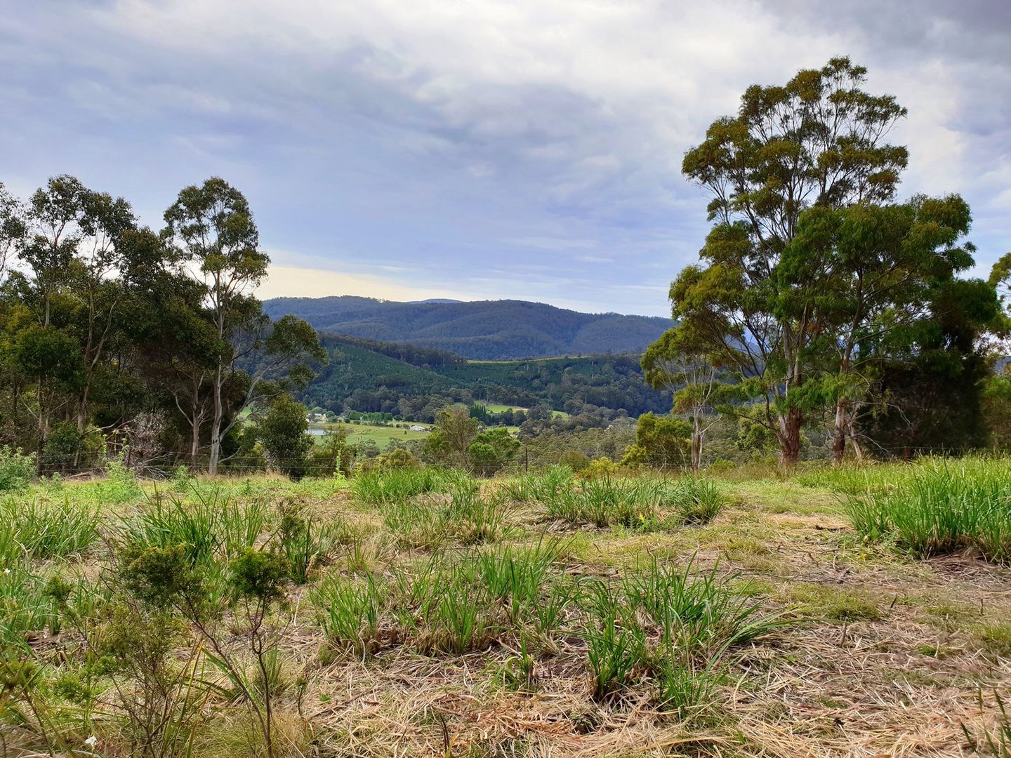 111 Rocky Bay Road, Deep Bay TAS 7112, Image 1