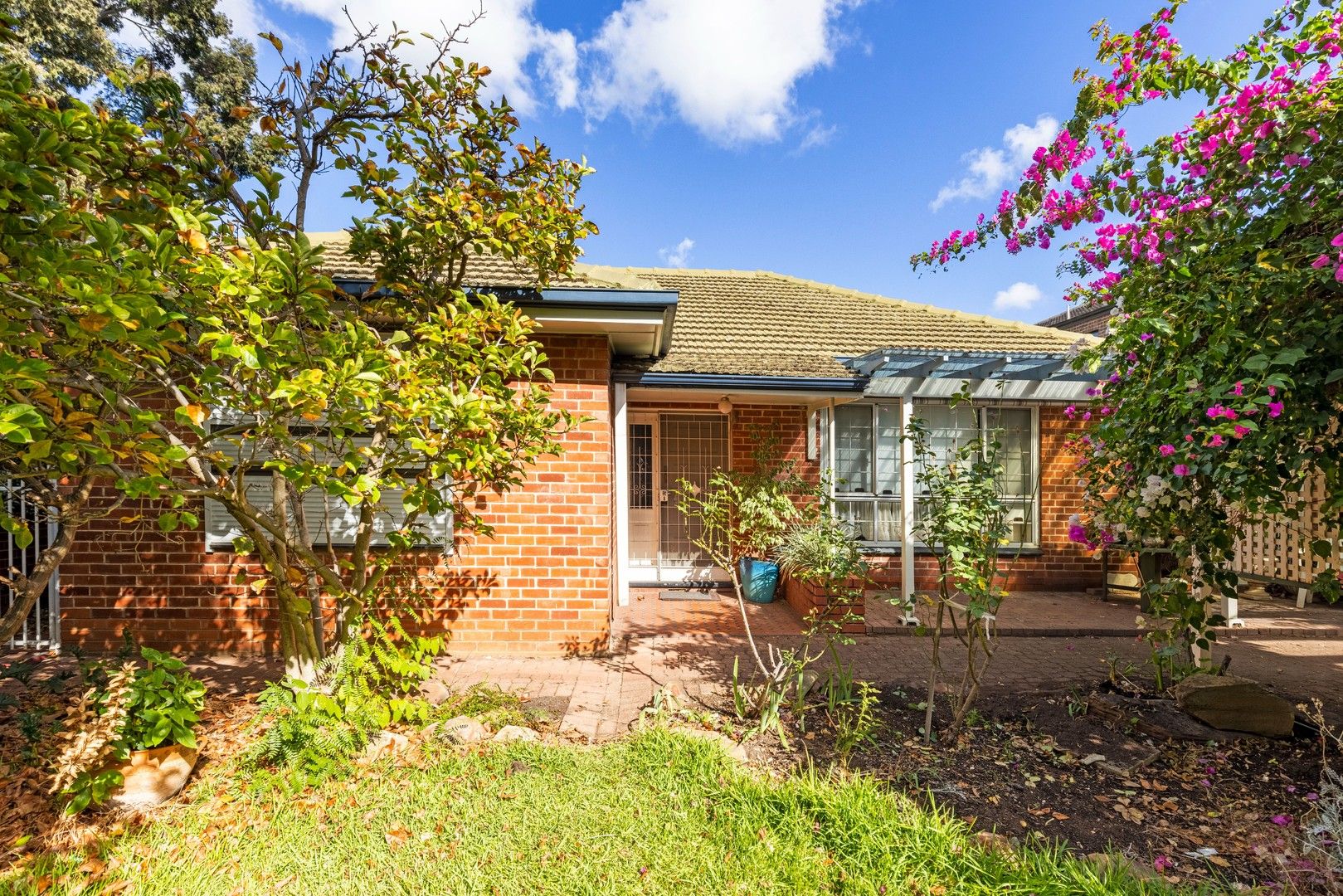 54 Warwick Street, Walkerville SA 5081, Image 0