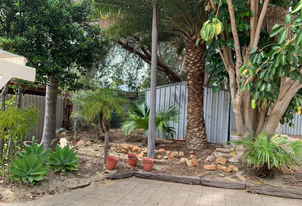 Image 9