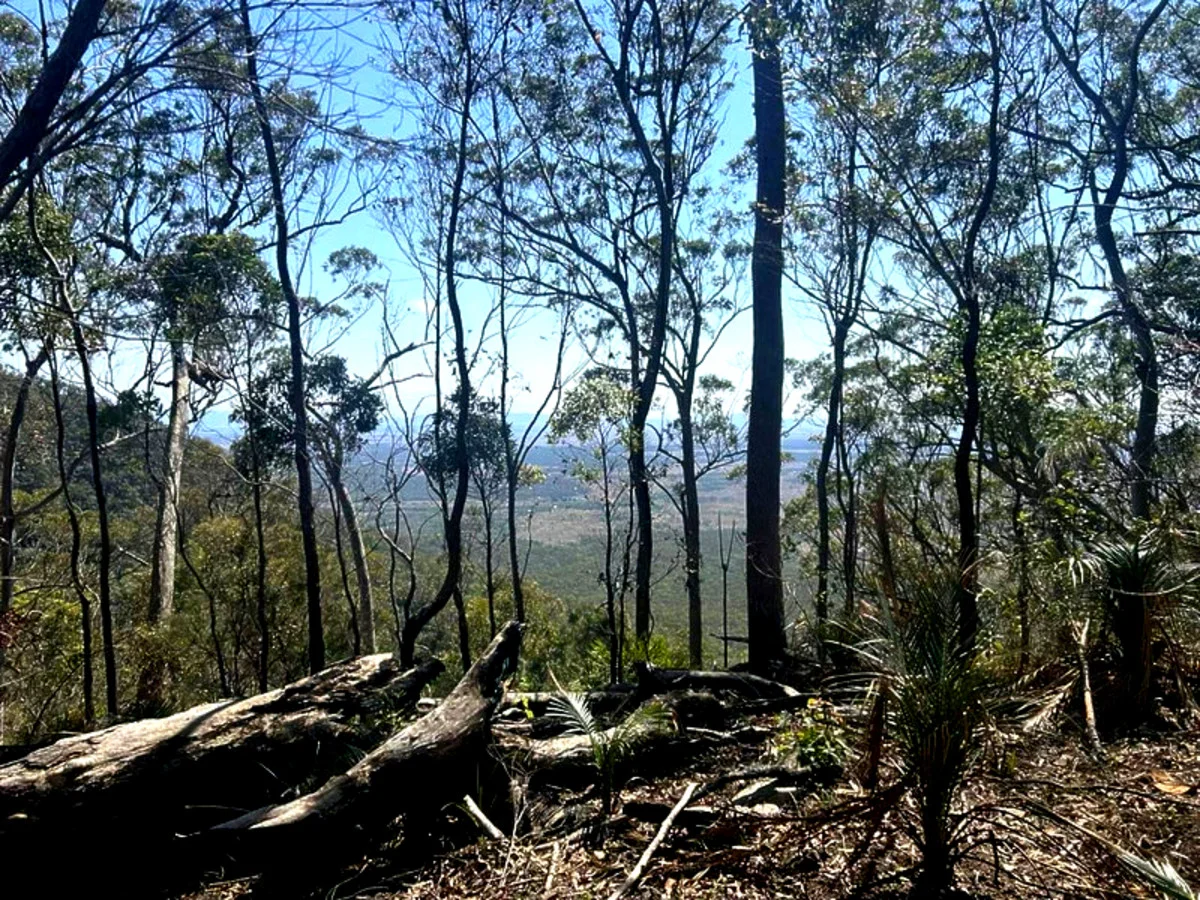 Additional image 3 of 1290 Nine Mile Road, Nine Mile Creek QLD 4714