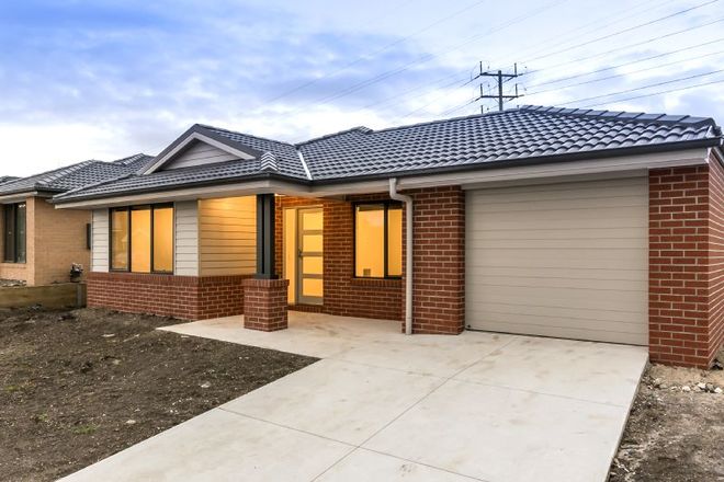 Picture of 31 Quinn Street, BELL POST HILL VIC 3215