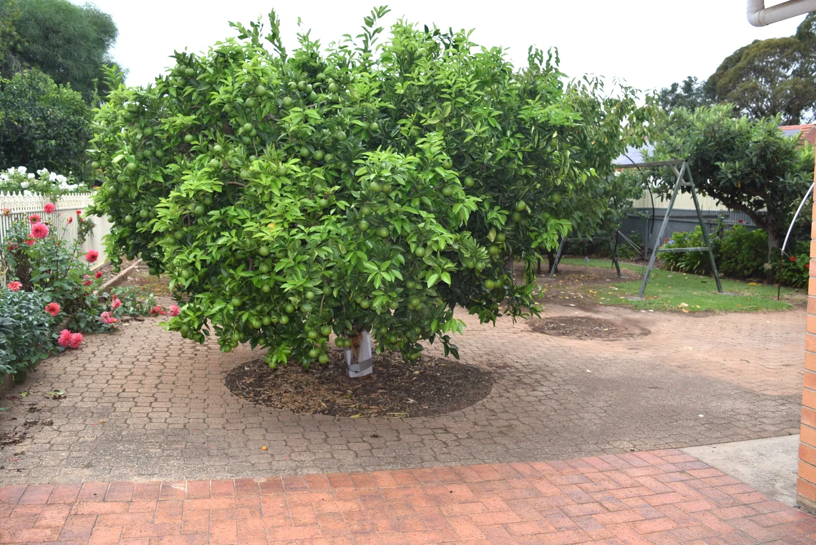 Additional image 27 of 1 Derby Court, Klemzig SA 5087