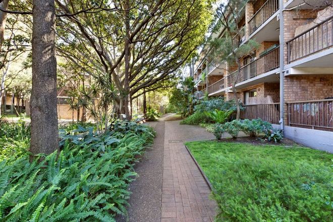Picture of 66/313 Harris Street, PYRMONT NSW 2009