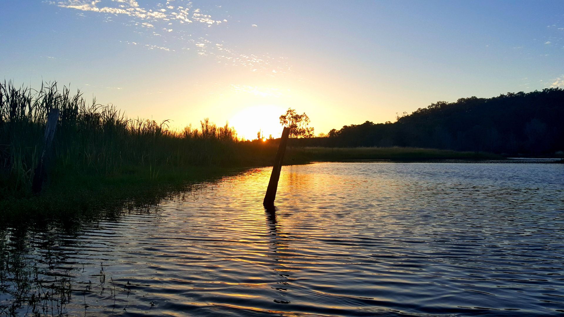 161 Irishtown Road, Donnybroo Property History & Address Research