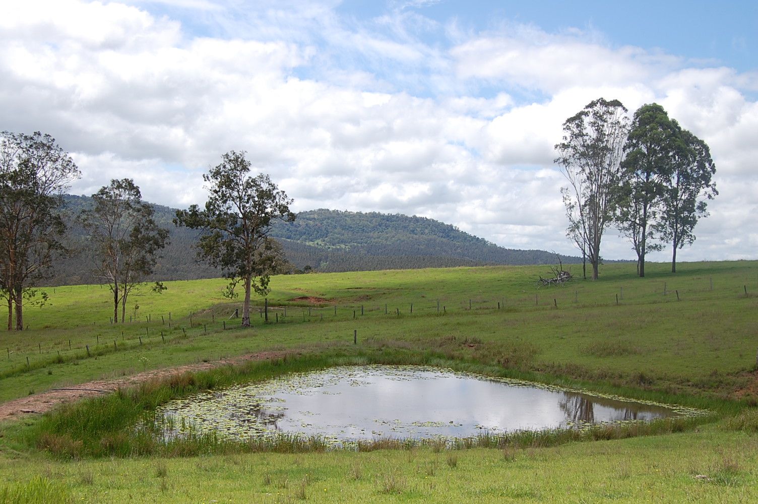 Lot 2, 166 Farm Road, Bonalbo NSW 2469, Image 1