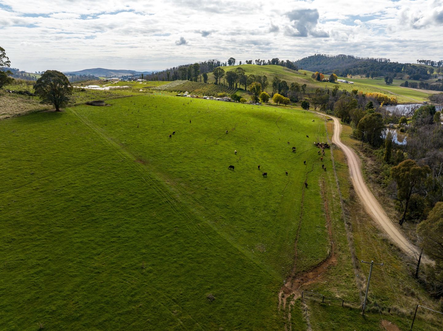  Mines Road, Batlow NSW 2730 House for Sale Domain