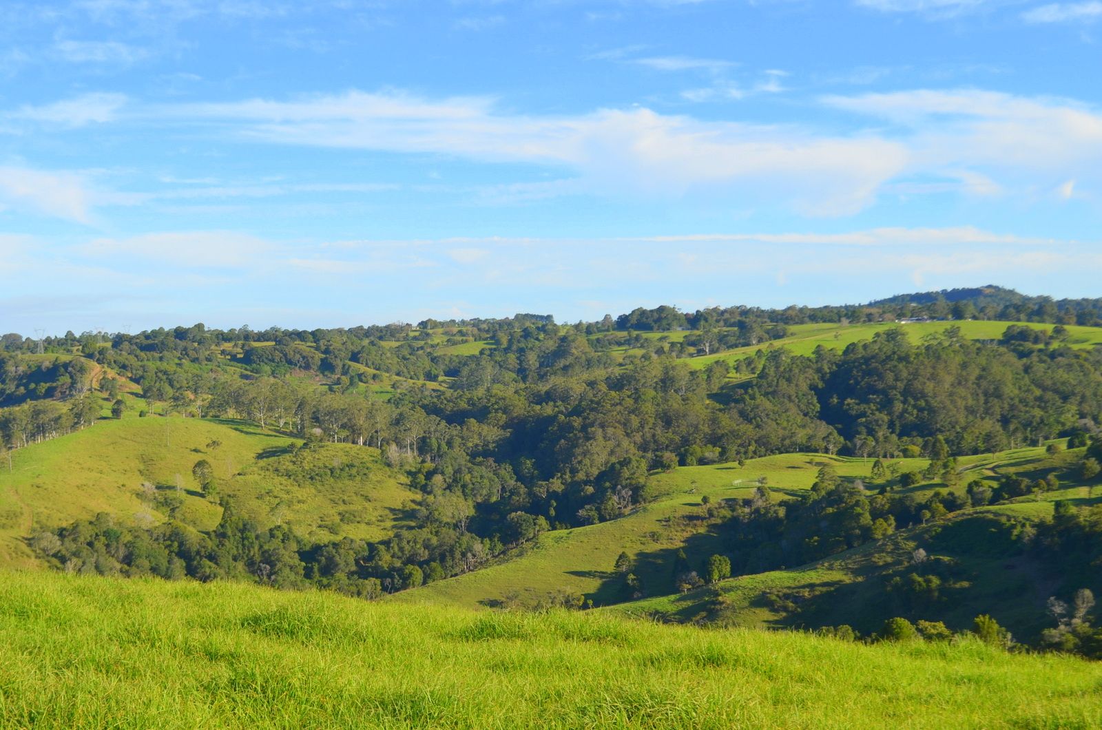 Lot 2 Tesch Road, Maleny QLD 4552, Image 2