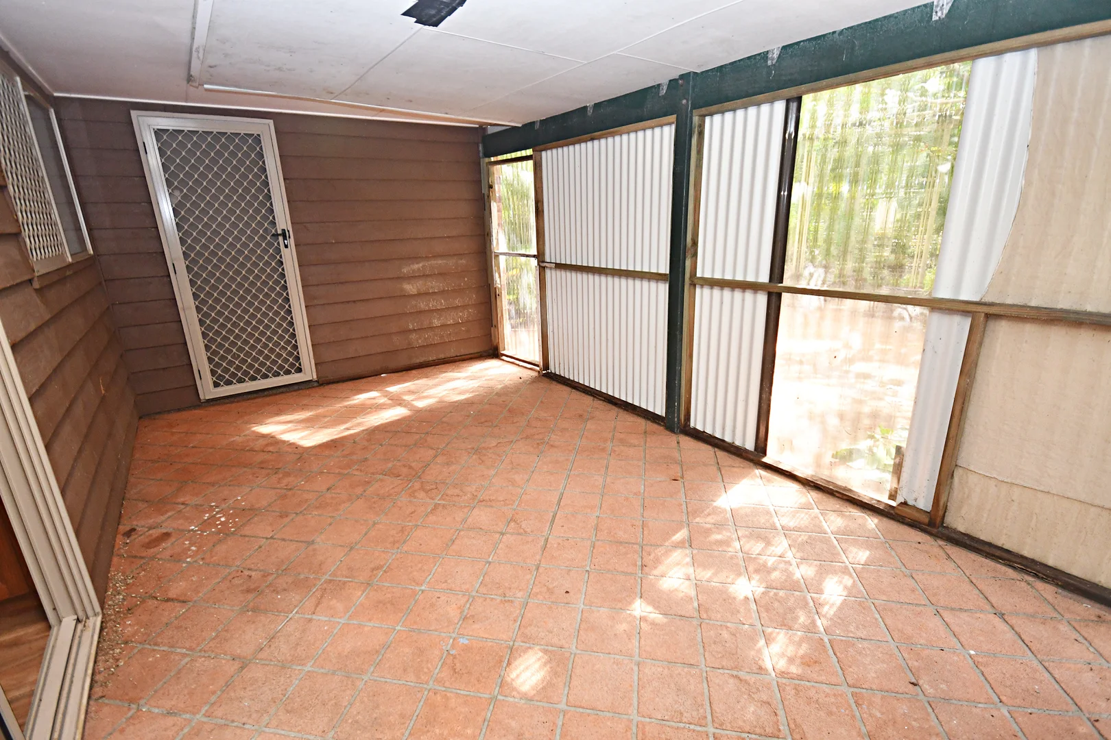 Image 13
