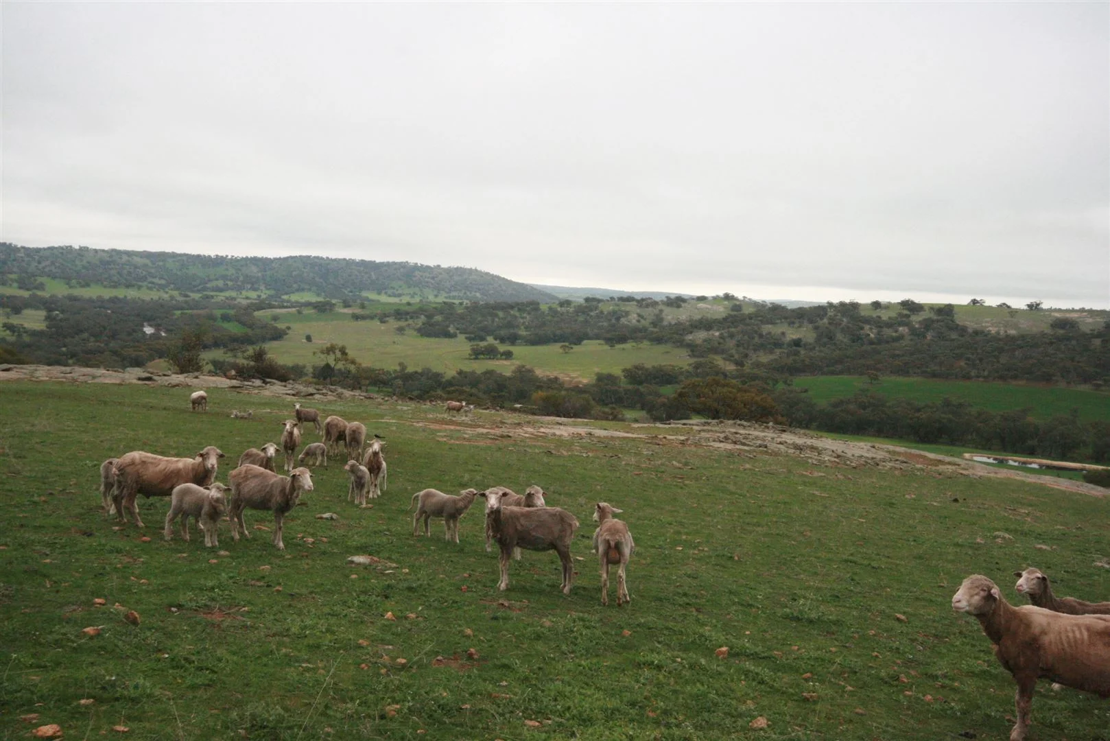 Image 10