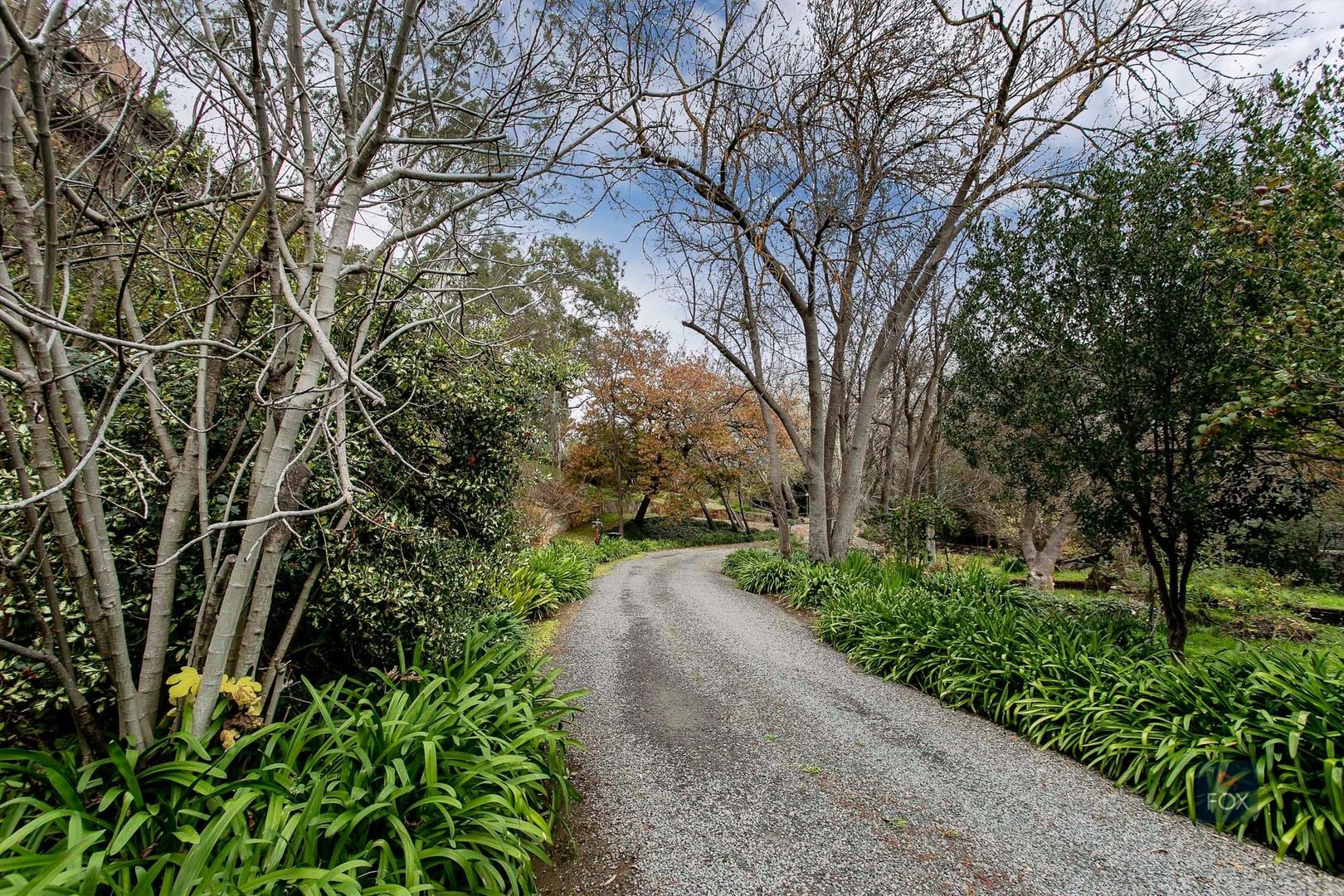 40 Waterfall Gully Road, Burnside SA 5066, Image 2