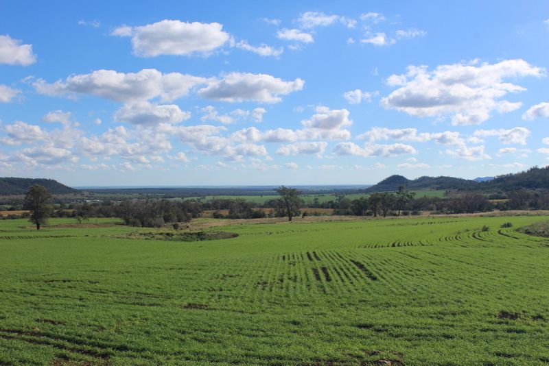 " Wilga Valley", Edgeroi NSW 2390, Image 1