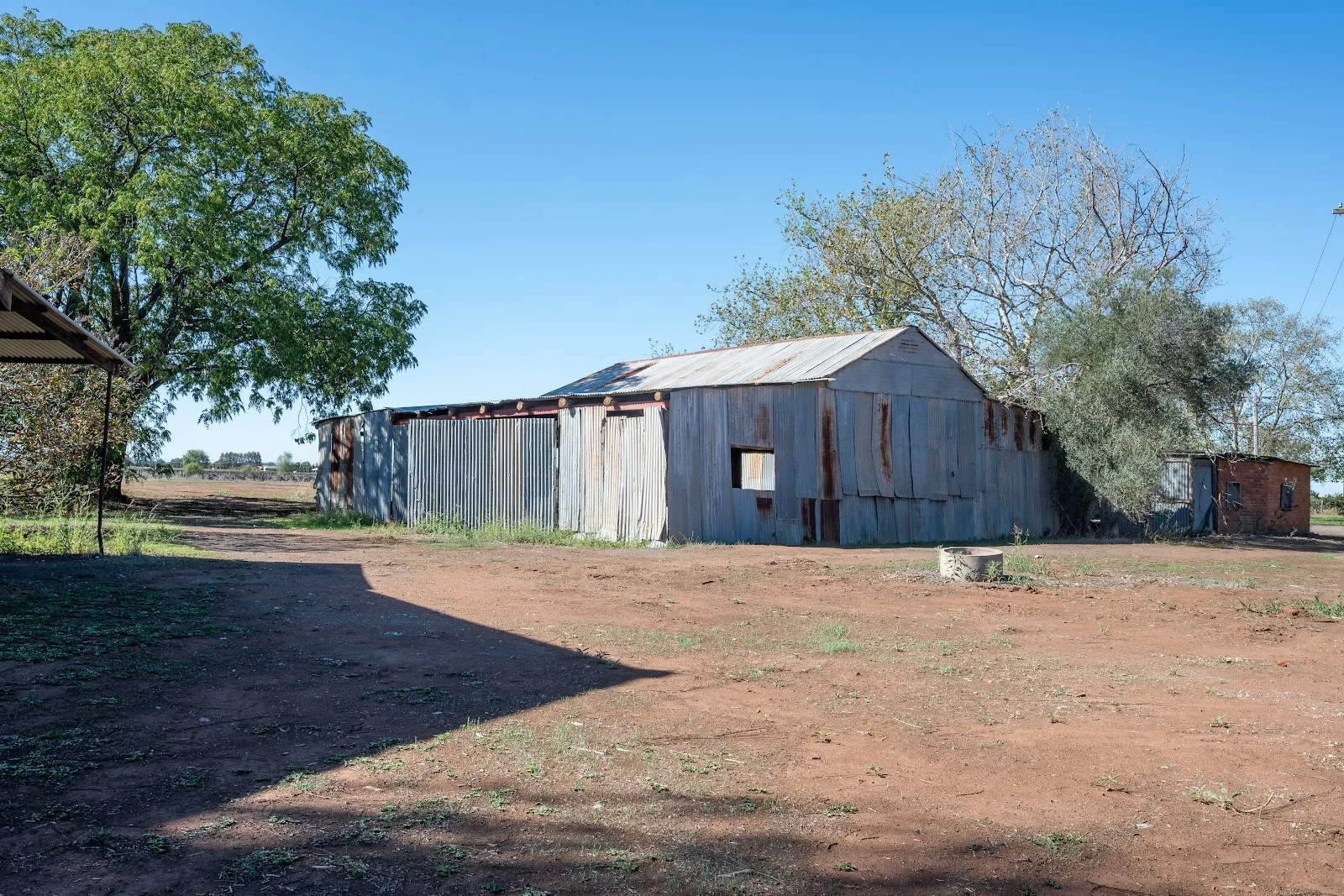 Image 19