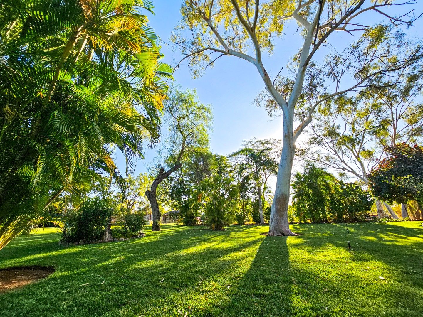 3 bedrooms Acreage / Semi-Rural in 5 Moondarra Drive MOUNT ISA QLD, 4825