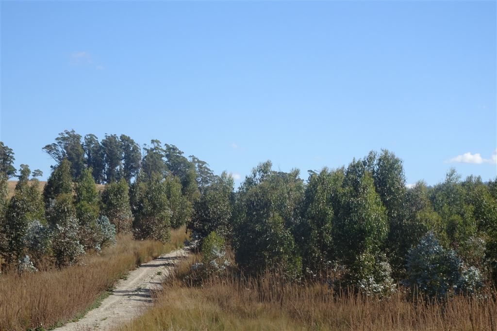 832 Rookery Road, Winkleigh TAS 7275, Image 2