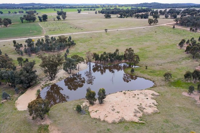 Picture of 186 Sheriffs Road, TEMORA NSW 2666