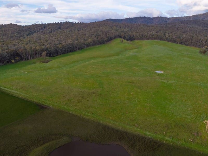 Coopers Track, King Valley VIC 3678, Image 2