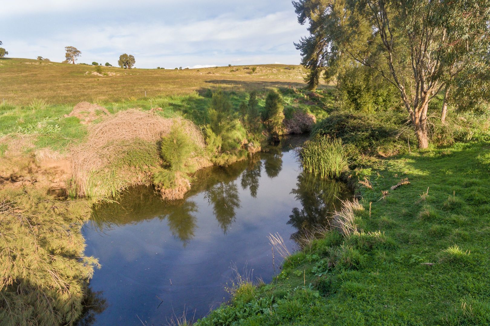 Lot 1 Market Street, Molong NSW 2866, Image 2