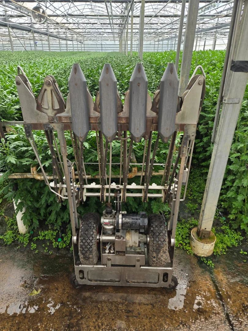 Additional image 7 of 83 Burton Road, Birdwood SA 5234