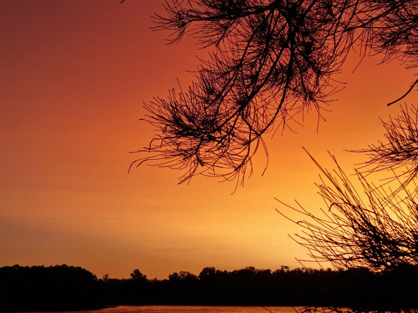 Additional image 13 of 9/74 Lagoon Street, Narrabeen NSW 2101