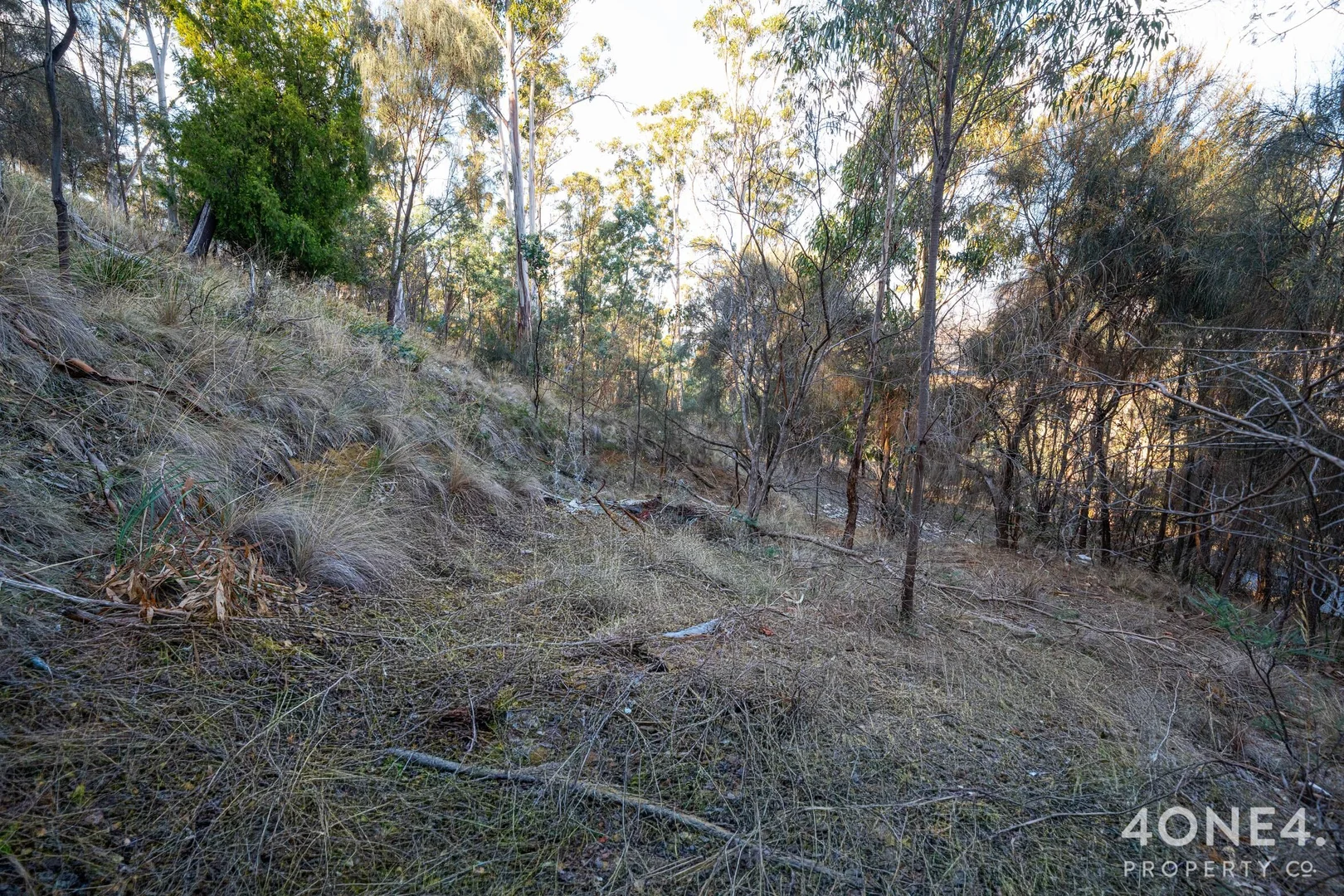 Image 12