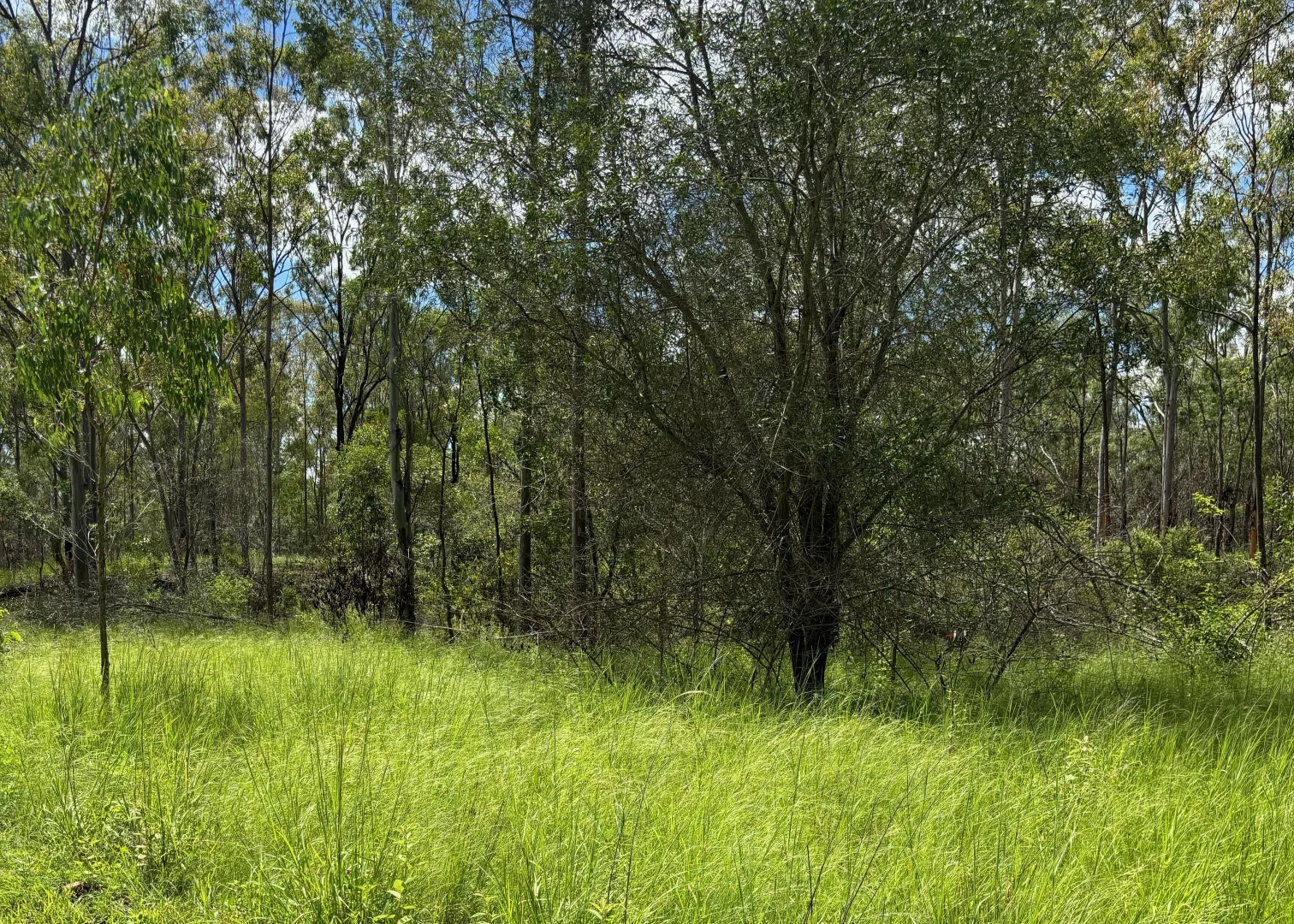 Image 11