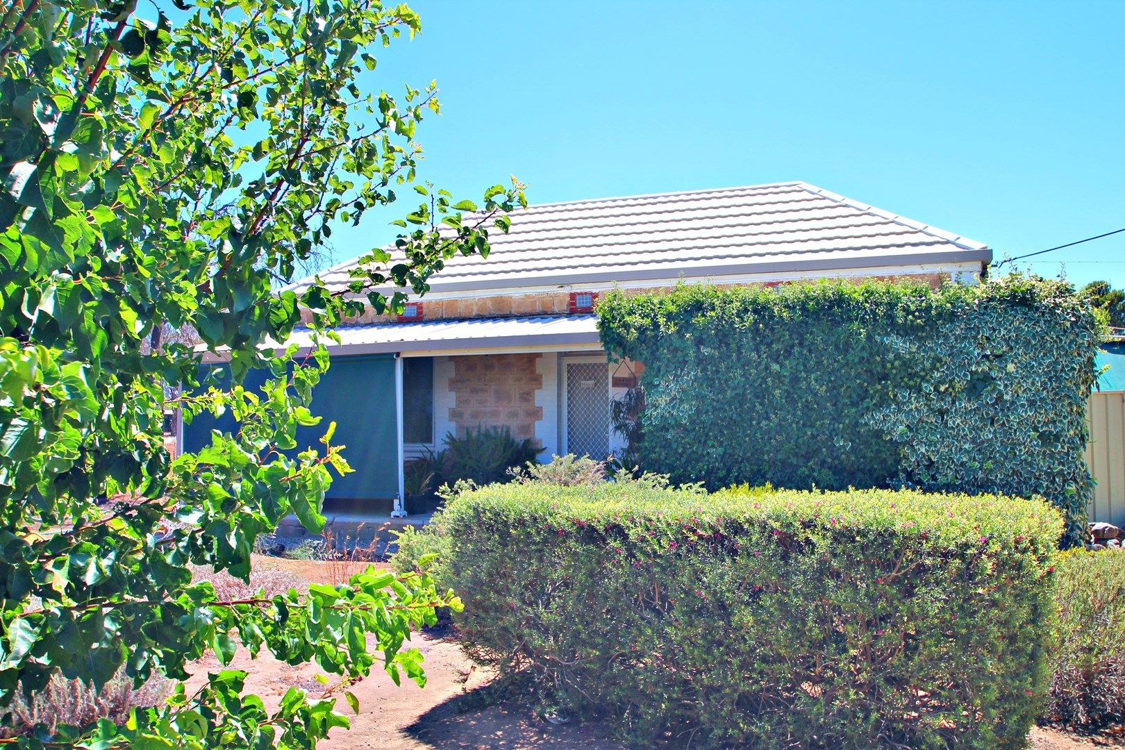 3 Hawker Street, Yacka SA 5470, Image 0