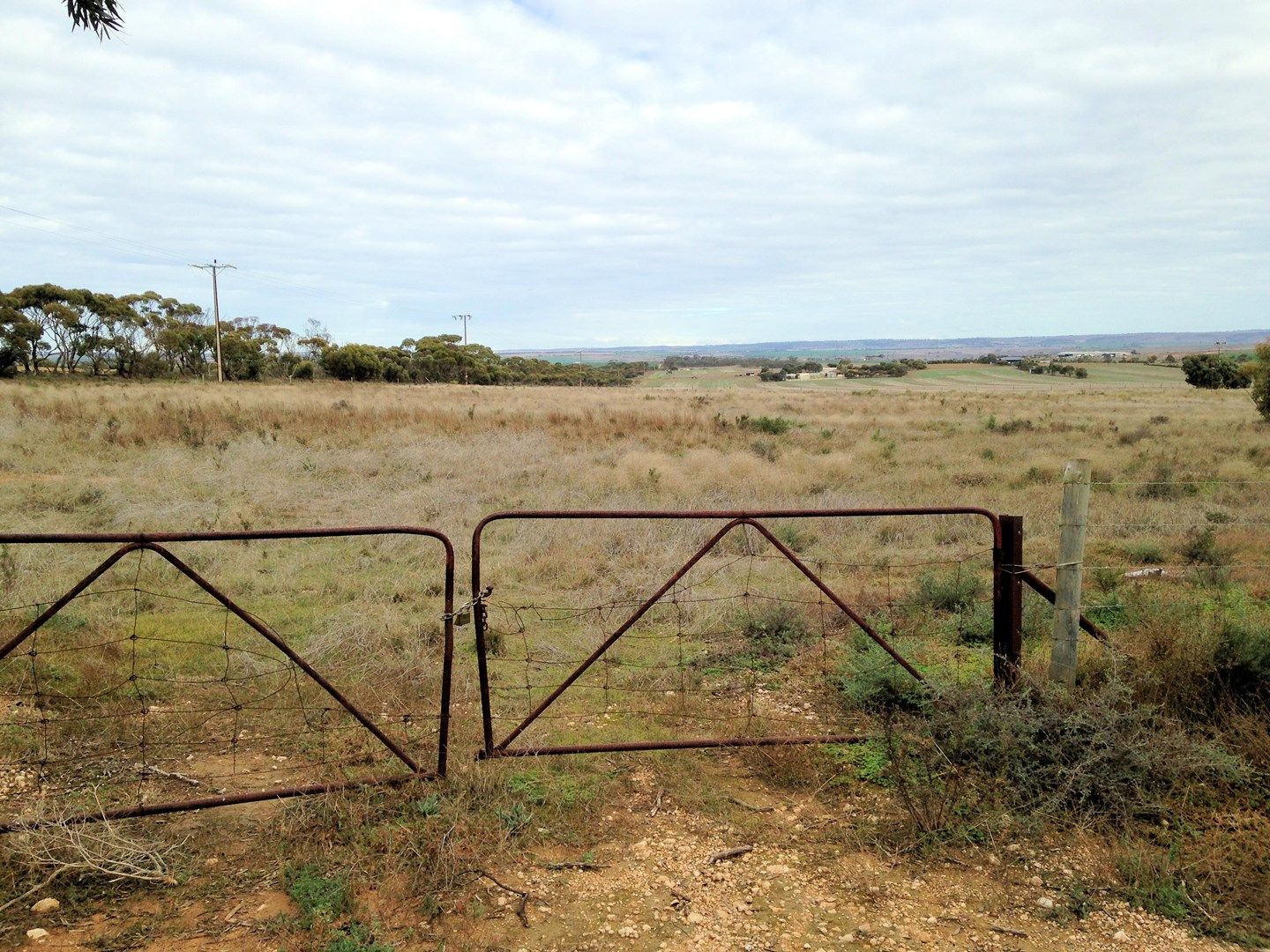 2998 Randell Road, Mannum SA 5238, Image 2