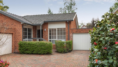 Picture of 2/59 Aintree Road, GLEN IRIS VIC 3146