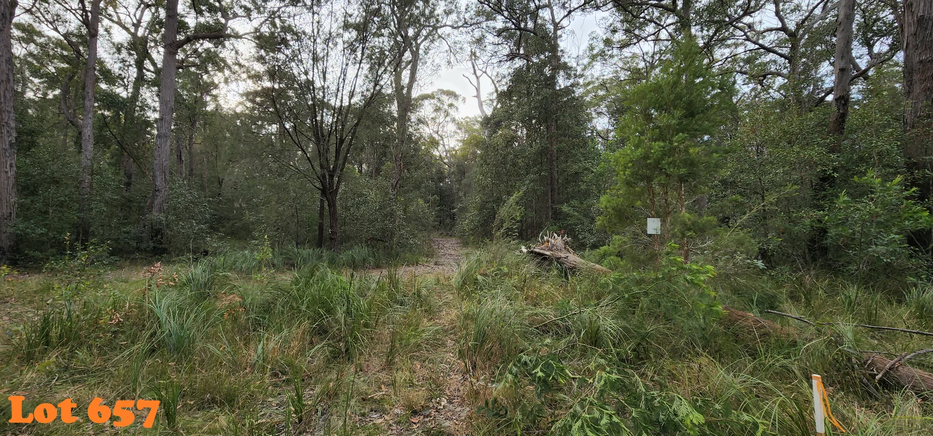 Image 8