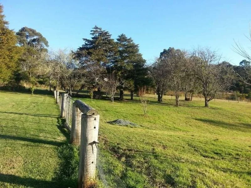 Image 14