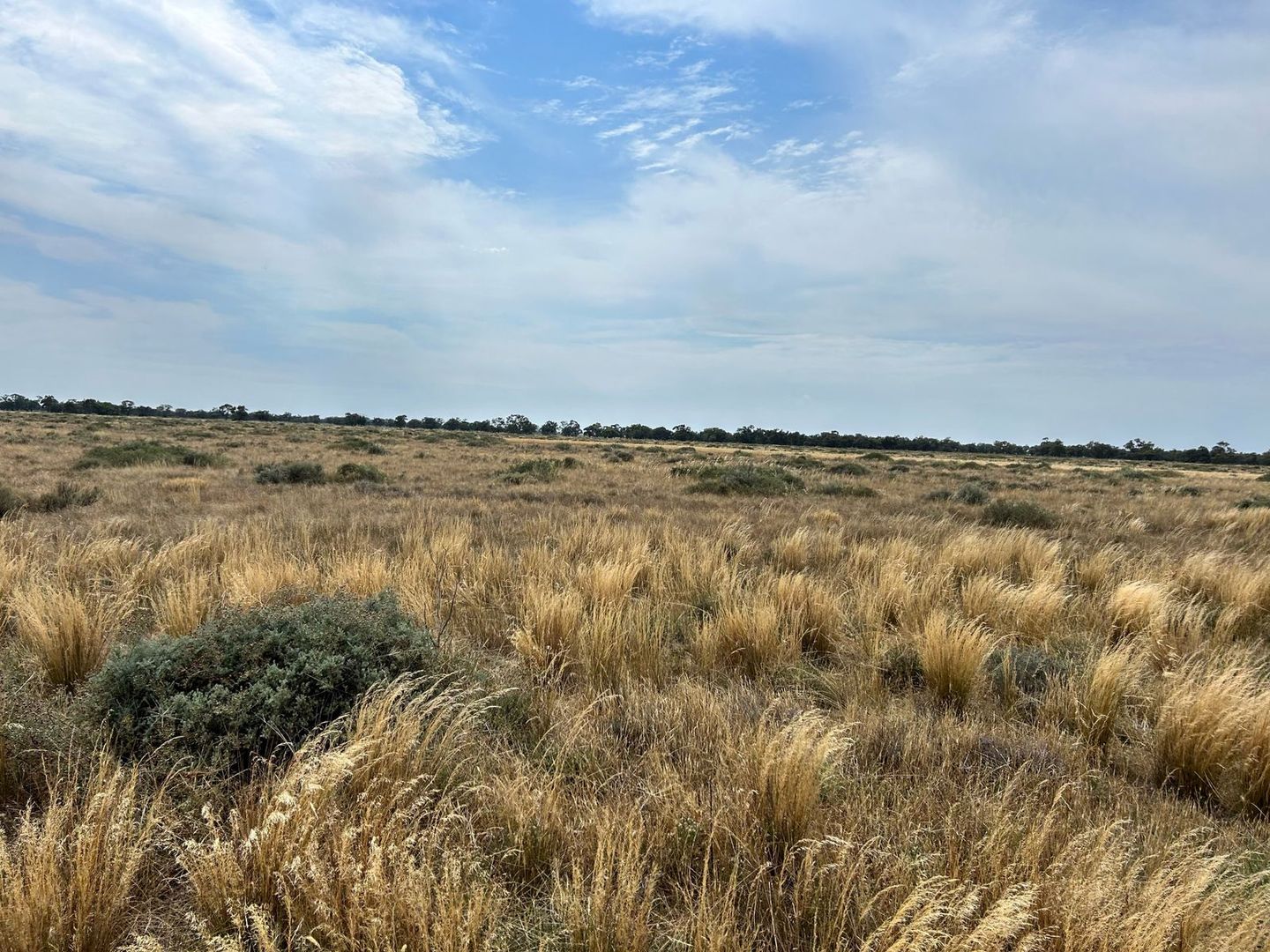 Lot 1, 2, 3, 65 & 98 Robb Road, Moulamein NSW 2733 Vacant Land for Sale