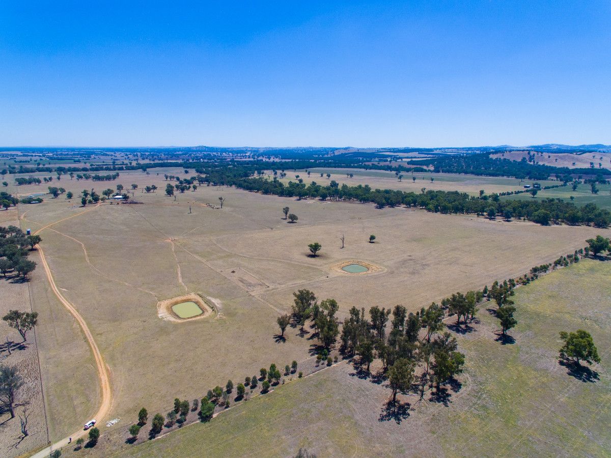 387 Ravenswood Road, Holbrook NSW 2644, Image 0