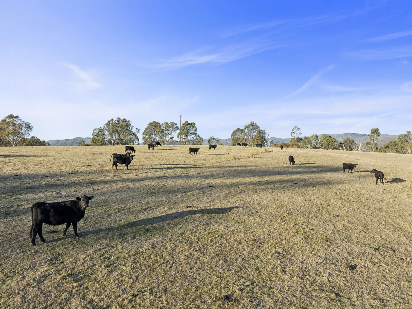 Additional image 14 of 31 Donkey Hill Road, Barjarg VIC 3723