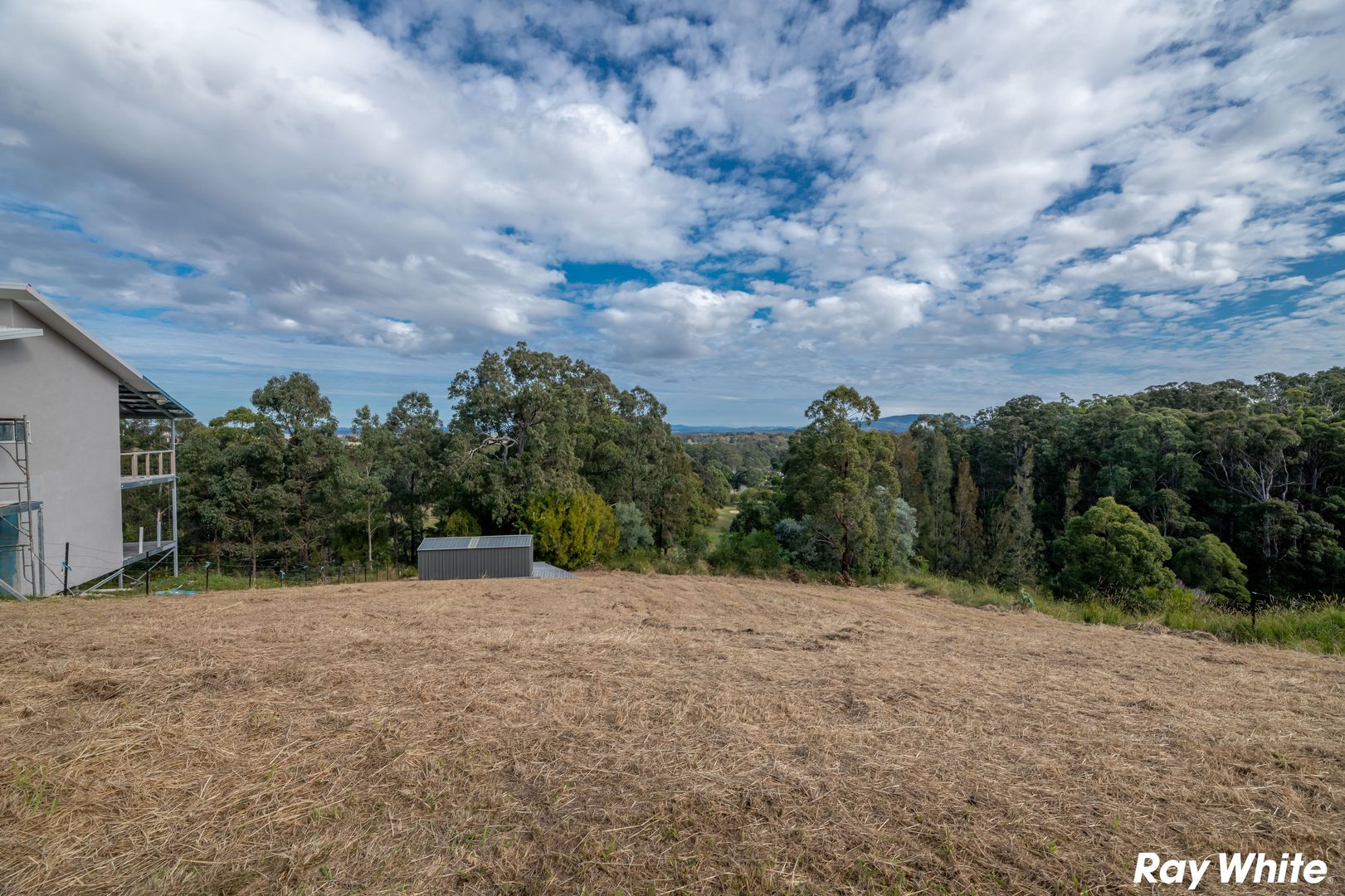 23 Lorikeet Way, Tallwoods Village NSW 2430 Domain