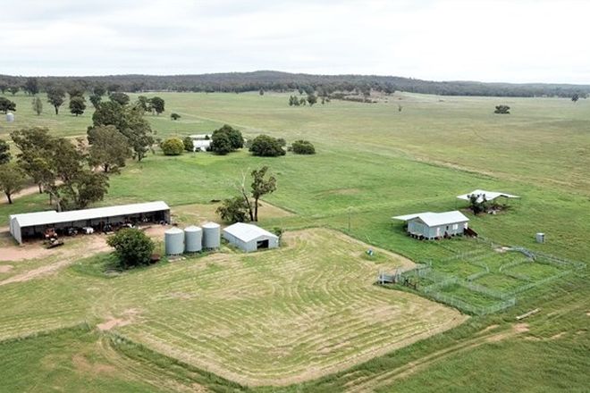 Picture of 'Appletree Flat' 1864 Castlereagh Hwy, MENDOORAN NSW 2842