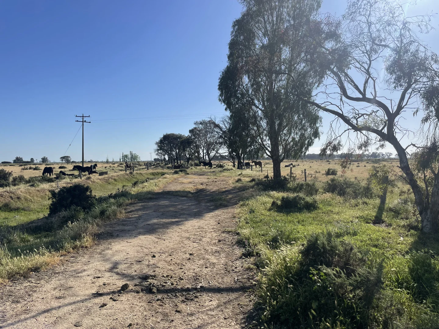 Image 14