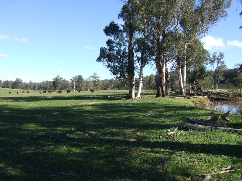 288 Holloways Road, Buchan South VIC 3885, Image 1