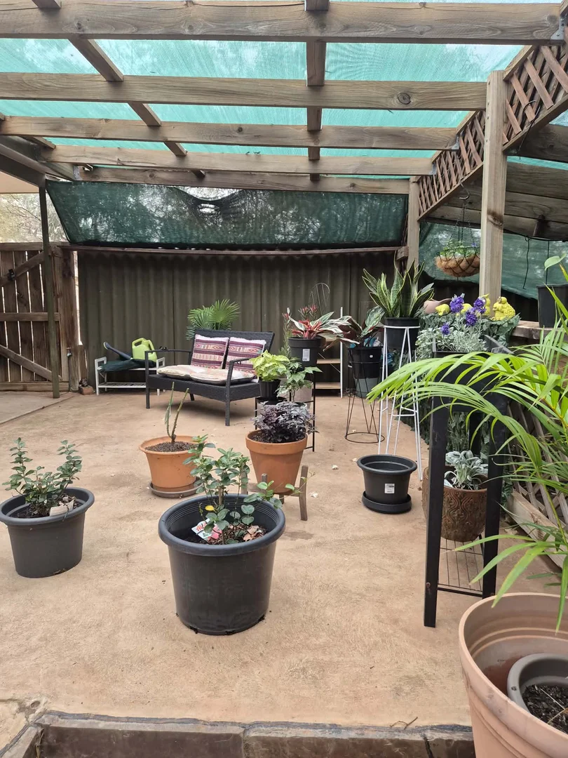 Image 20
